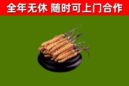 临淄区烟酒回收冬虫夏草.jpg