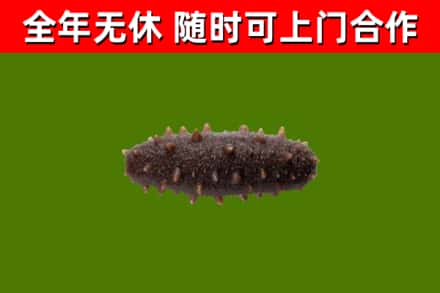 临淄区烟酒回收干海参.jpg